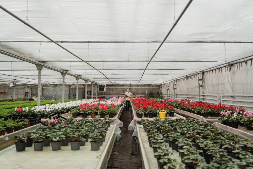 Underground Greenhouses for Year-Round Gardening - Greenhouse Mojo