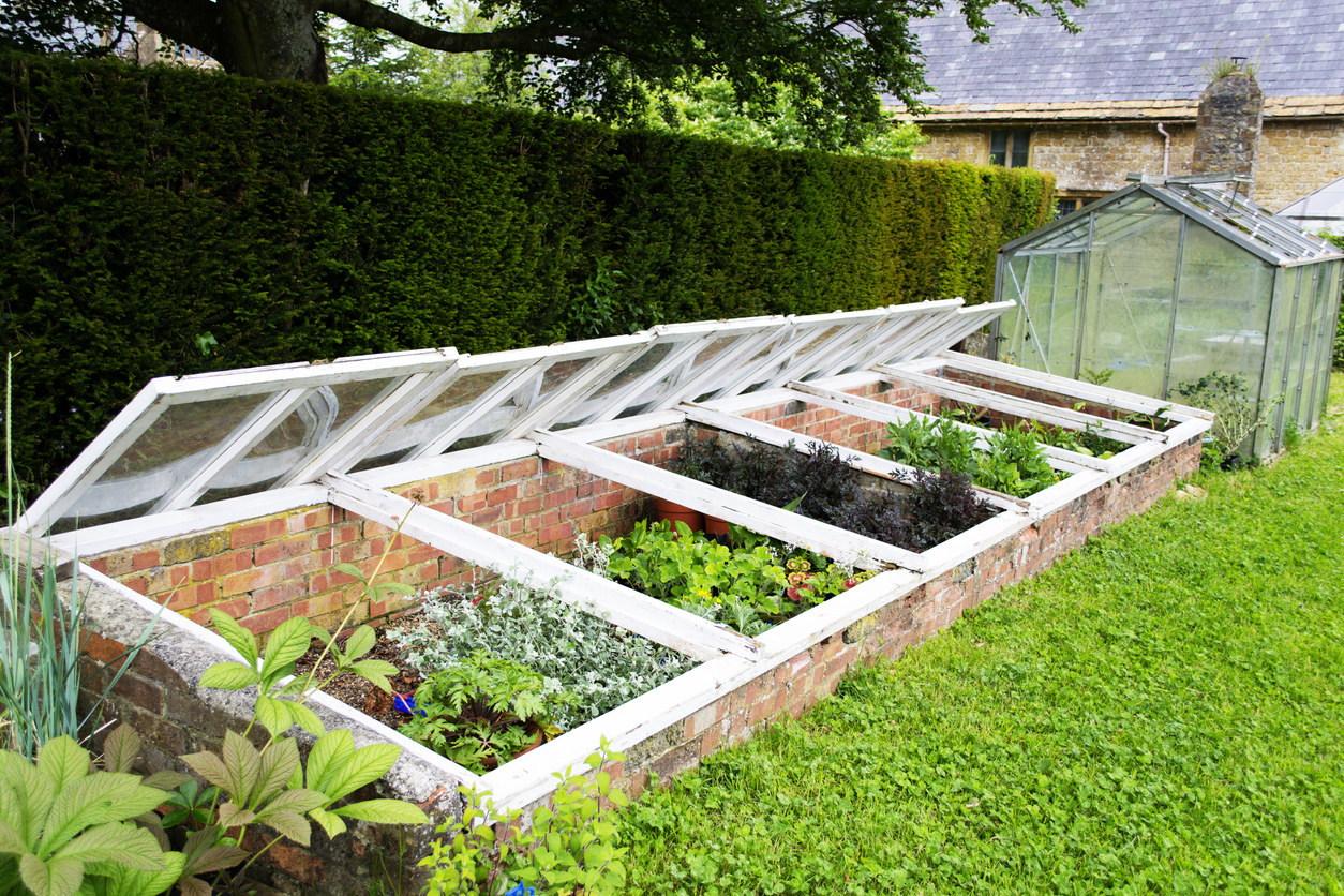 wow-what-a-greenhouse-love-the-cold-frames-on-the-sides-too